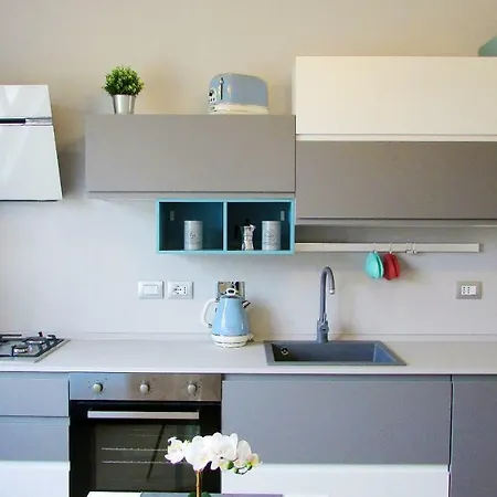 Vinhome Bilocale Con Garage Privato Centro Alba (Piedmont)