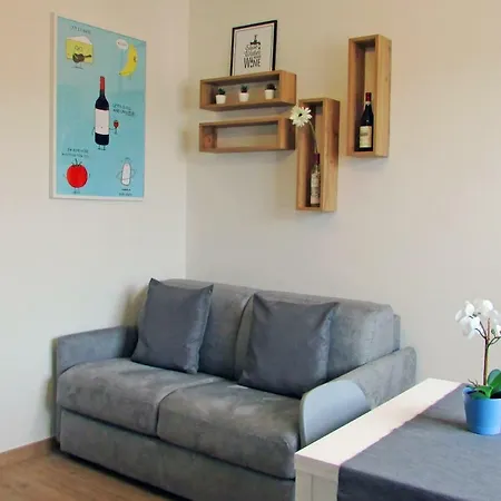 Apartment Vinhome Bilocale Con Garage Privato Centro Alba (Piedmont)