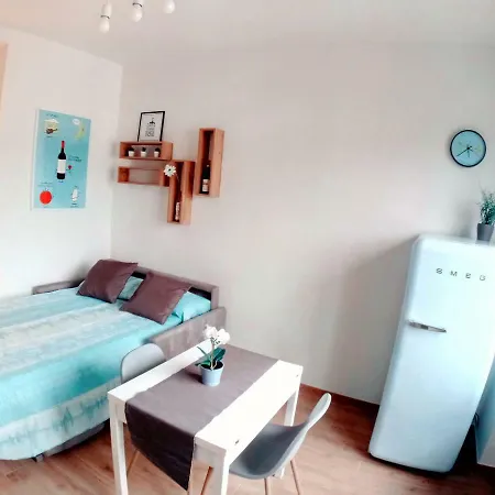 Vinhome Bilocale Con Garage Privato Centro