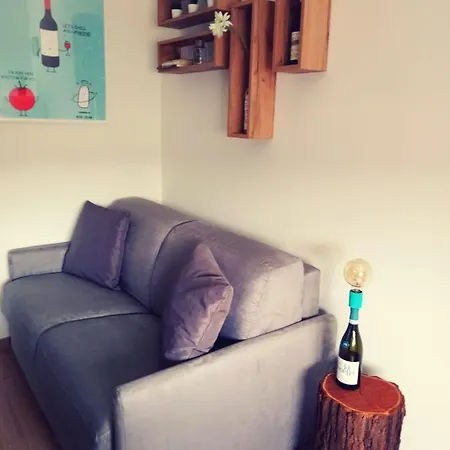 Vinhome Bilocale Con Garage Privato Centro Apartment